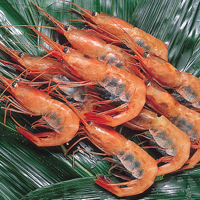 【北海道直送】大赤エビ　　1ｋｇ×2セット　船内急速凍結 大赤エビ 1kg×2セット 船内急速凍結（北海道直送大赤エビ 1kg